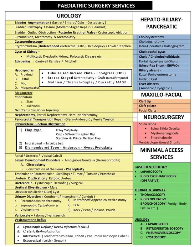 Hospital services chart listing paediatric urology, hepato-biliary, maxillo-facial and minimal access procedures